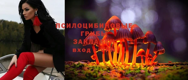 apvp Алзамай