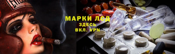 apvp Алзамай