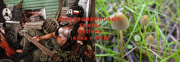 apvp Алзамай
