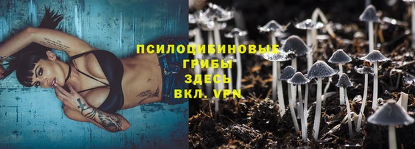 apvp Алзамай